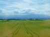 Geneva